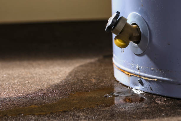 Best Carpet water damage restoration  in Sour Lake, TX