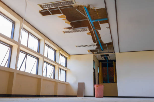 Best Water damage restoration near me  in Sour Lake, TX